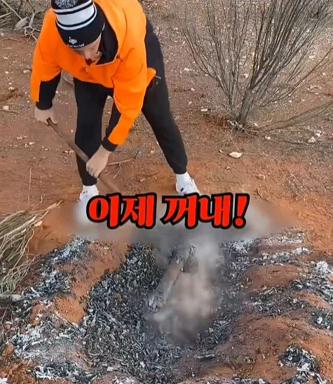 호주에서 캥거루 꼬리고기 먹는 방법_12.webp