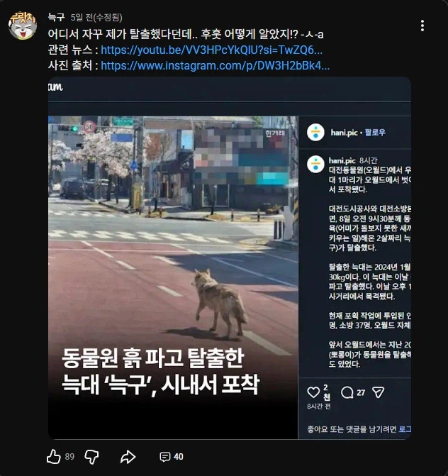 늑구로 인해 뜻밖의 특수를 얻은 유투버_1.webp