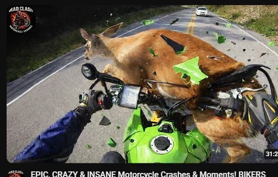 오토바이가 위험한 이유 1장요약_1.webp