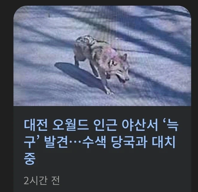 늑구는 무슨 인질범 느낌이야_1.webp