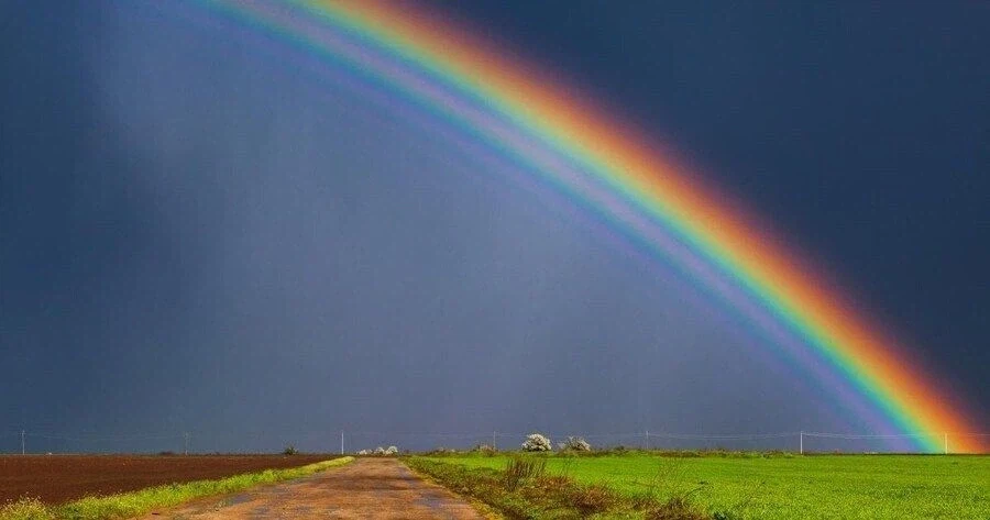 동성애자인거 티내지 마라는데.jpg_1.webp