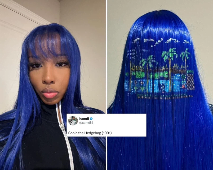 소닉 더 헤어혹_1.webp