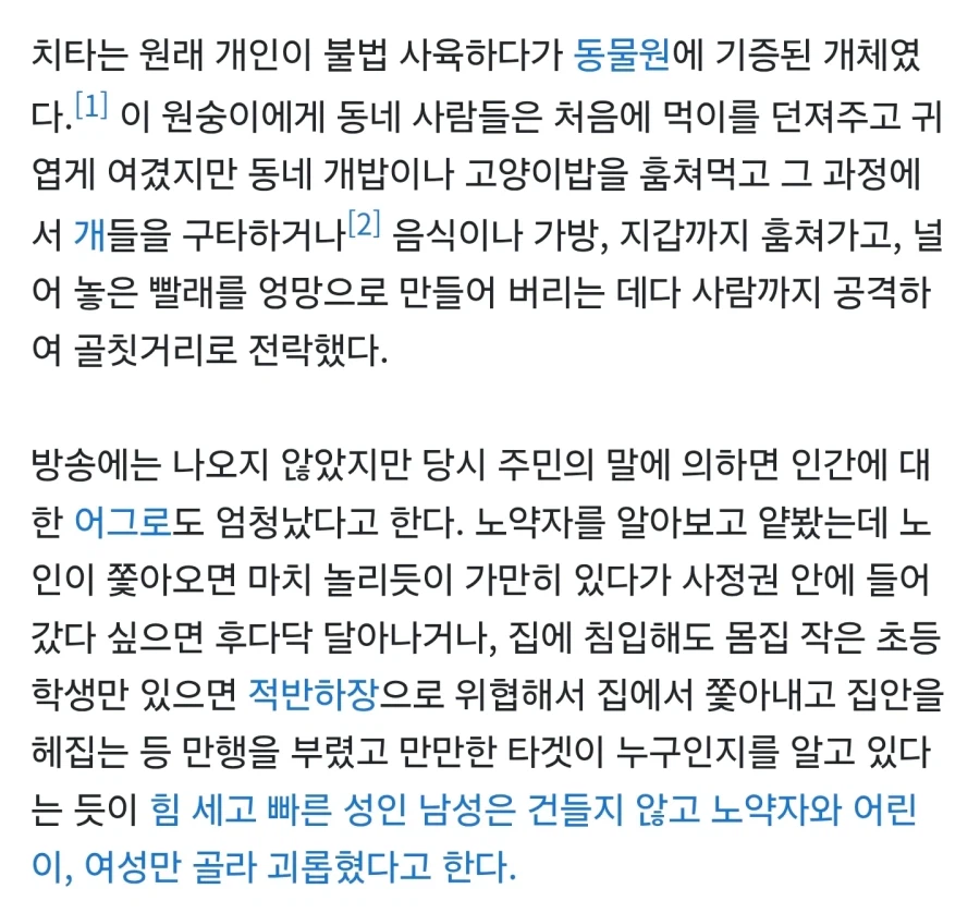 늑구 이전 동물원 탈출 대선배_2.webp