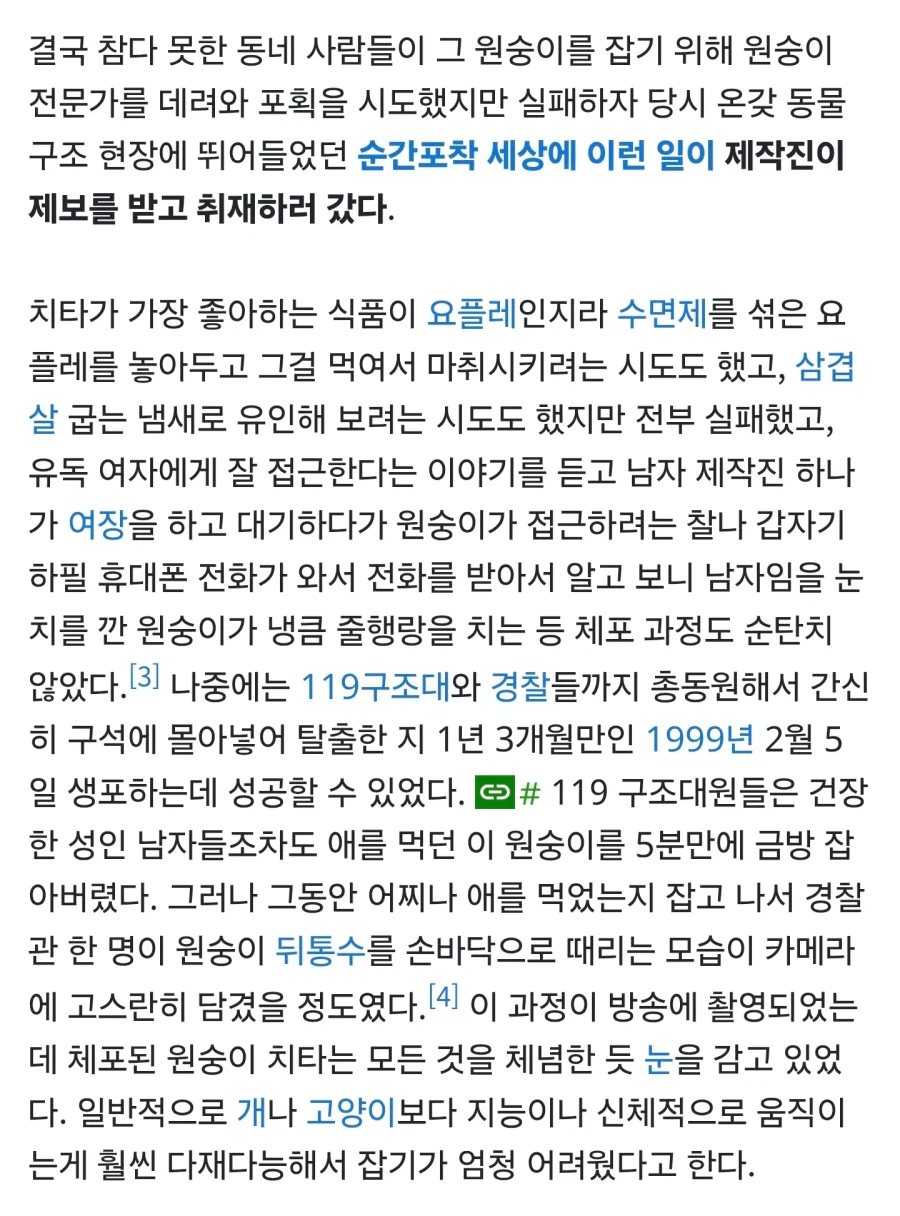 늑구 이전 동물원 탈출 대선배_3.webp