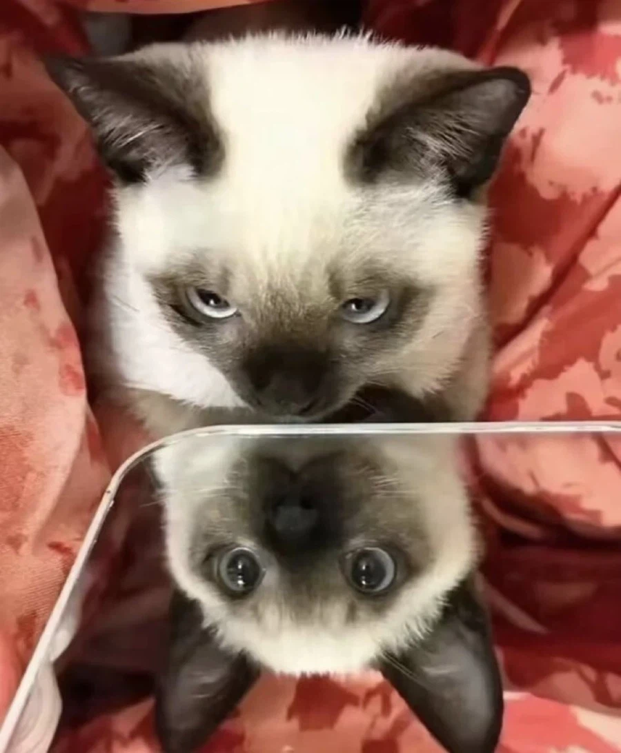 각도의 차이_1.webp