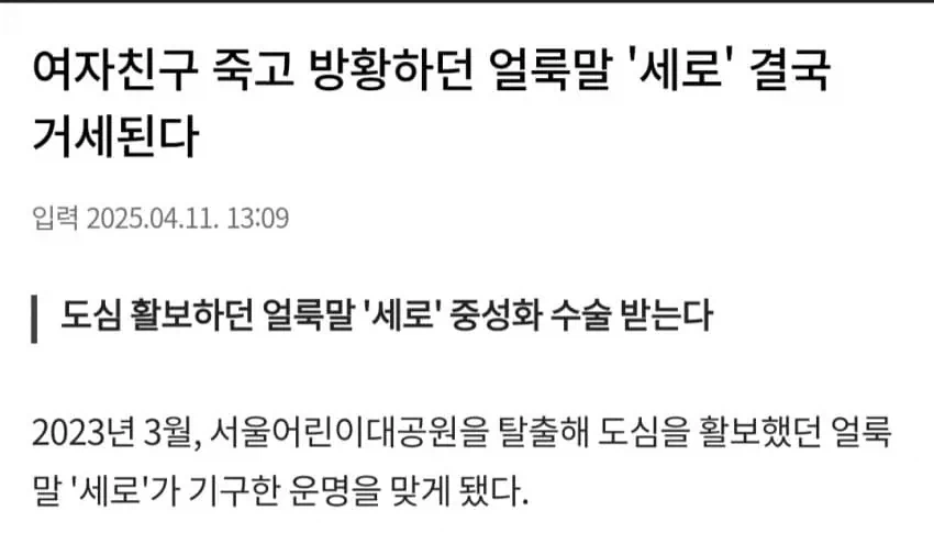 ???: 늑구야 절대 잡히면 안된다..._2.webp