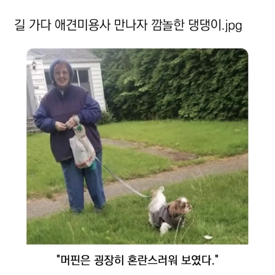 NPC가 돌아 다닌다!_1.webp