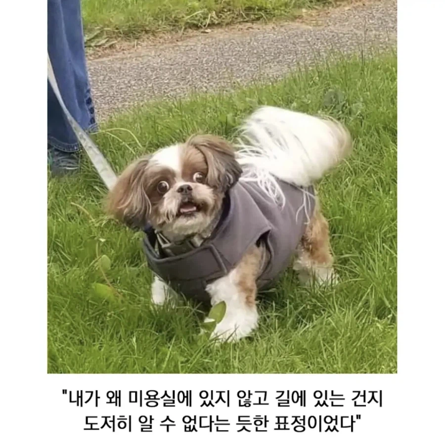 NPC가 돌아 다닌다!_2.webp