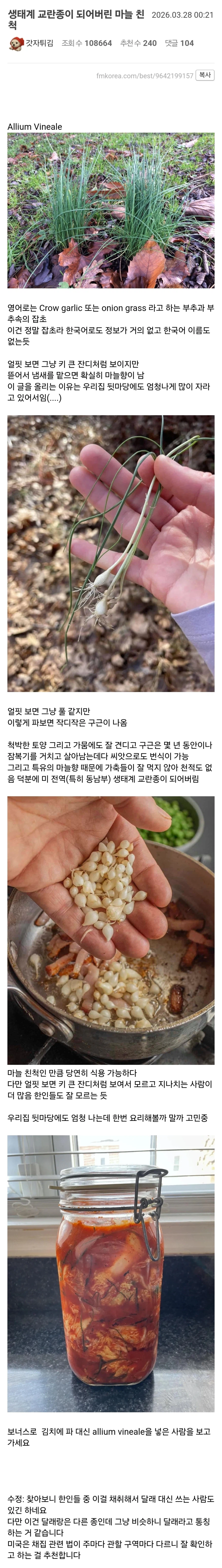 한국인에게 잘못 걸린 생태계 교란종_1.webp