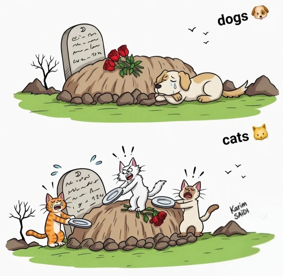 주인 죽으면 개, 고양이 행동 모습_1.webp