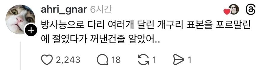 두유로 만든 푸주.jpg_2.webp