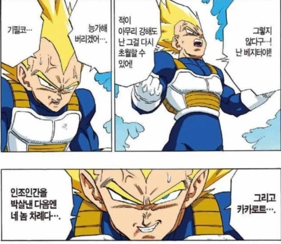 해외에서 베지터를 좋아하는 이유_2.webp