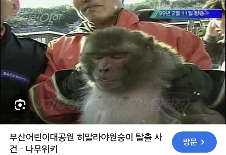 늑구 대 선배님 ㅋㅋㅋㅋㅋㅋ_1.webp