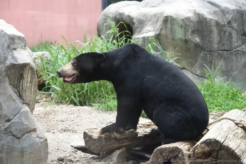 대한민국을 떠들썩하게 한 꼬마_1.webp