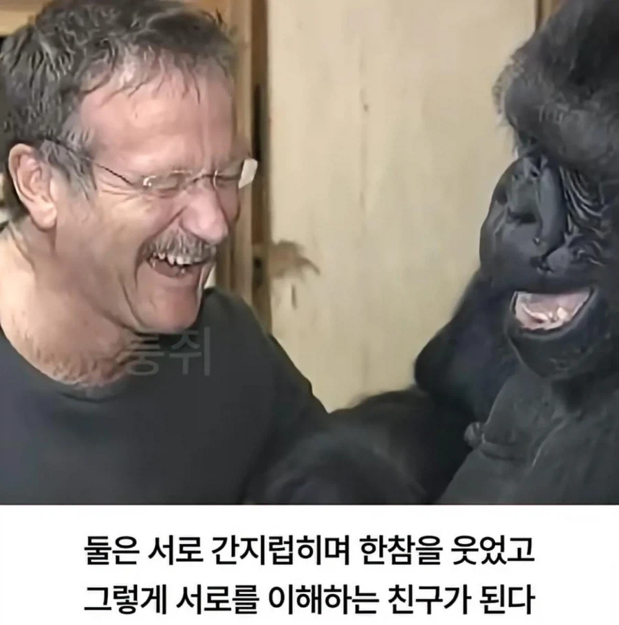 수화를 배운 고릴라 ㄷㄷㄷ;;_8.webp