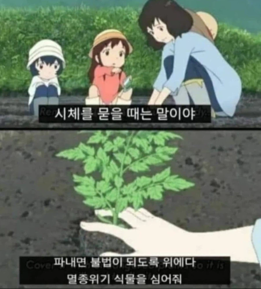 시x를 묻을 때는_1.webp