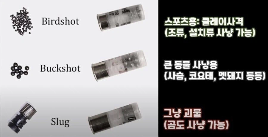 샷건에 쓰는 총알 종류.jpg_1.webp