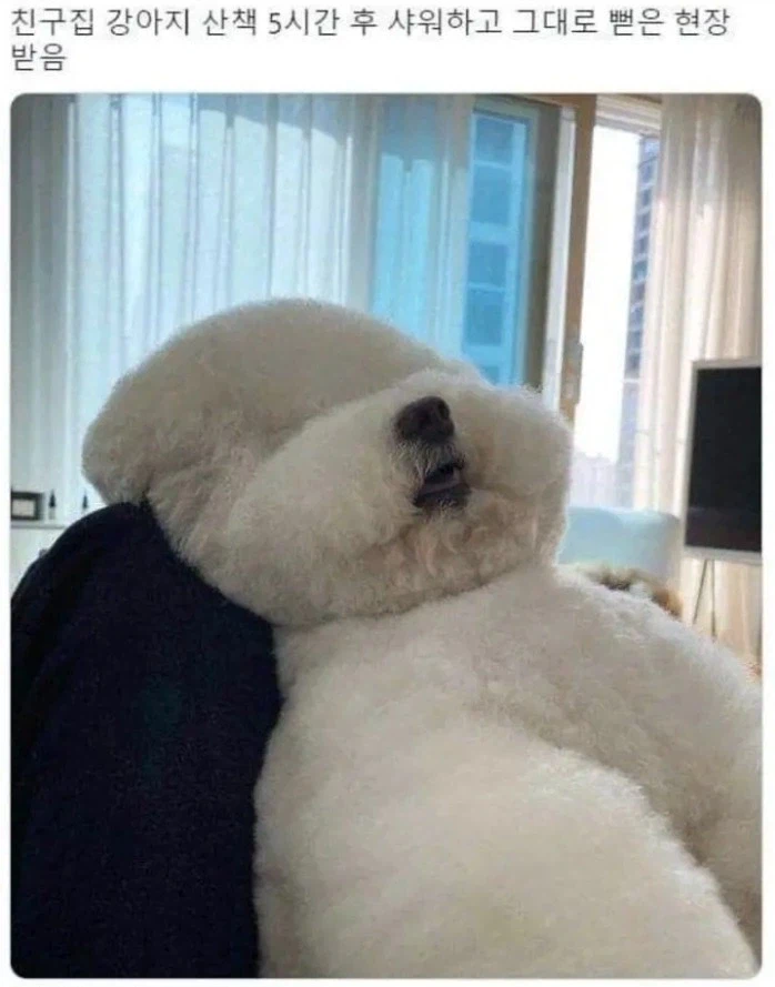 인간이 대자연의 지배자가 될 수 있었던 이유중의 하나.jpg_1.webp