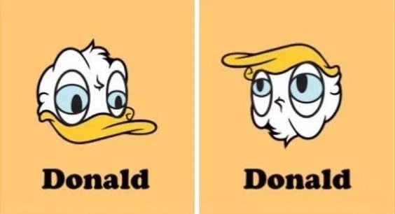 도날드 덕의 진실ㄷㄷㄷㄷㄷ_1.webp