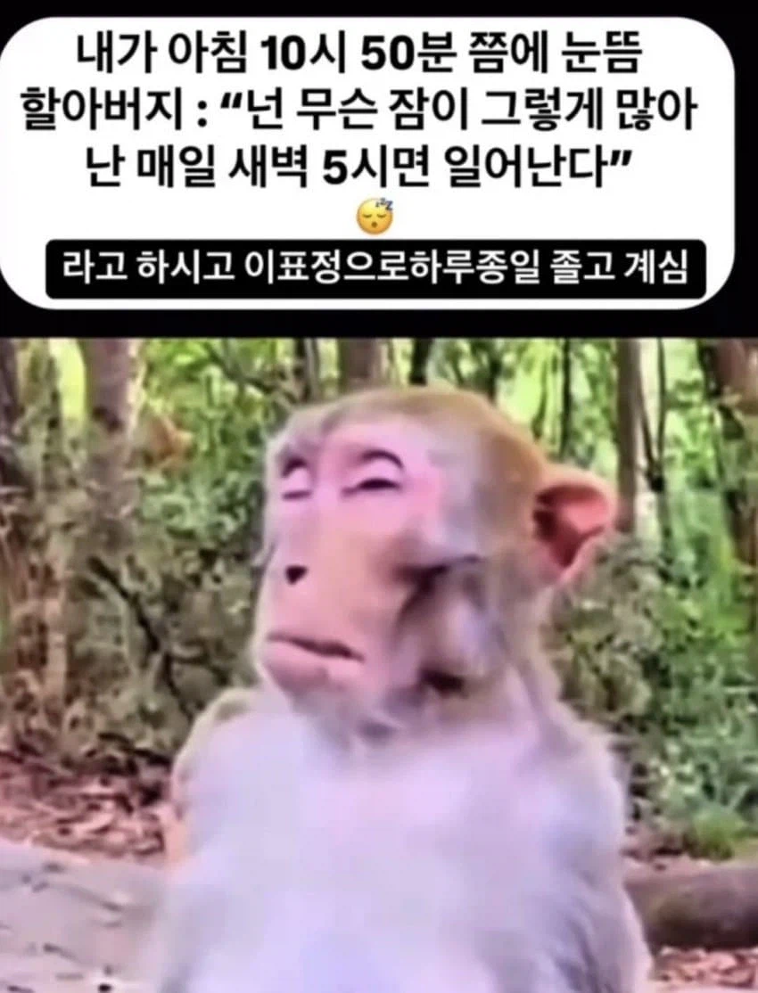 무슨 느낌인지 알 것 같음_1.webp