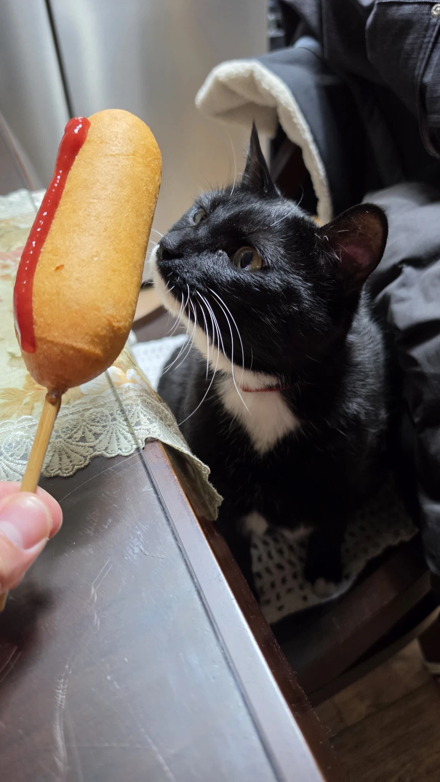 퇴근후 야옹이랑 소소하게 한잔함ㅎㅎ_3.webp