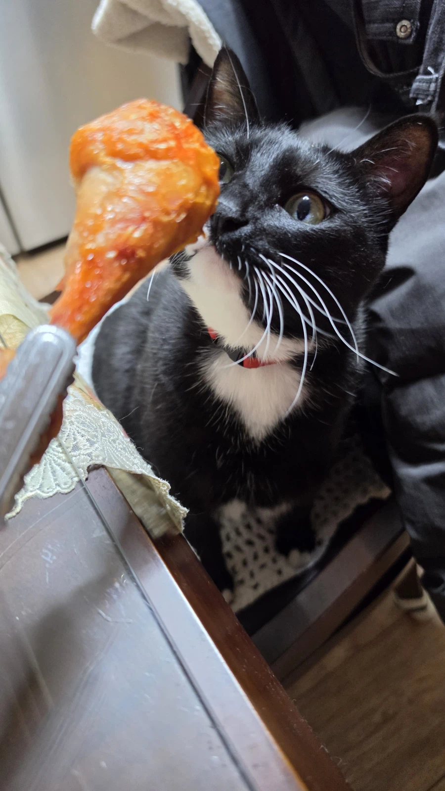 퇴근후 야옹이랑 소소하게 한잔함ㅎㅎ_4.webp