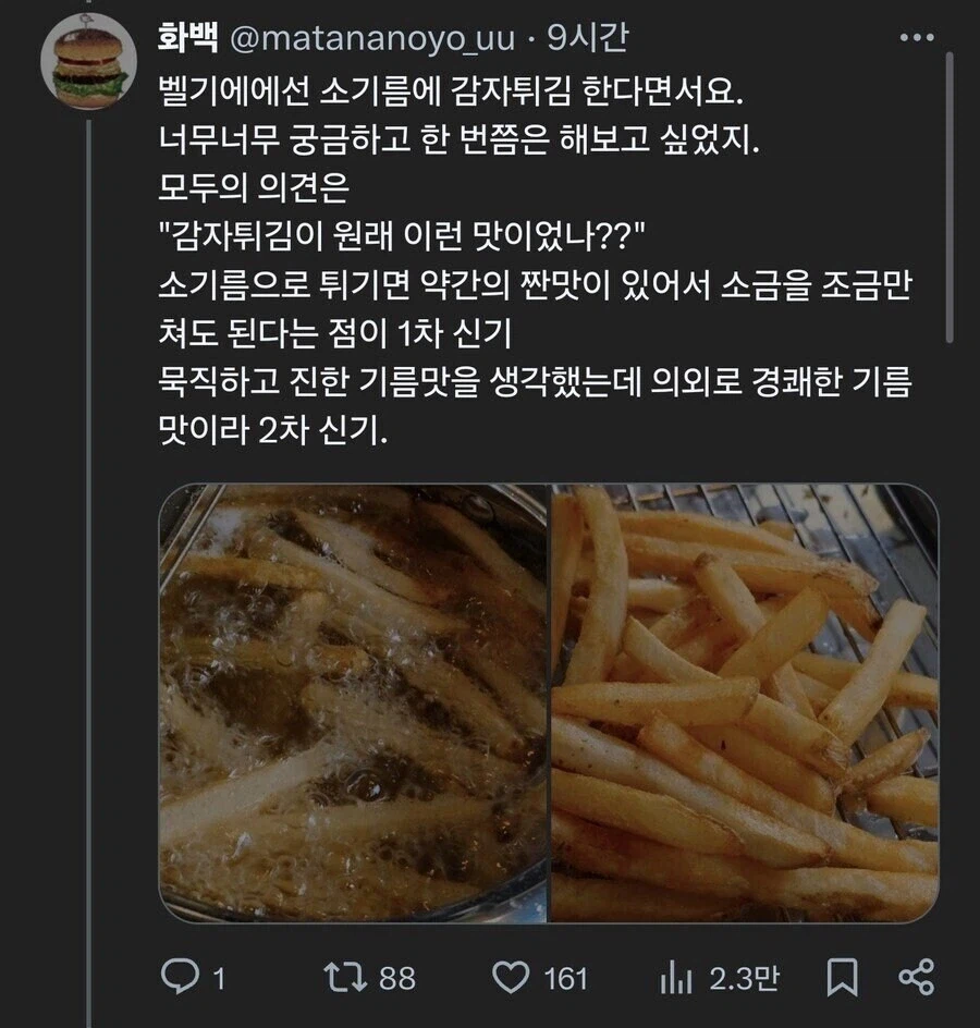 소 기름으로 튀긴 게 그렇게 맛있다며??.jpg_8.webp