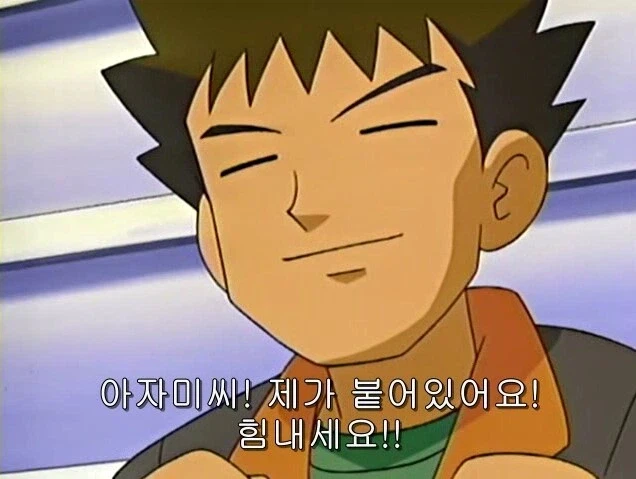 포켓몬 3세대 애니때 제일 꼴보기싫었던 애새끼_1.webp