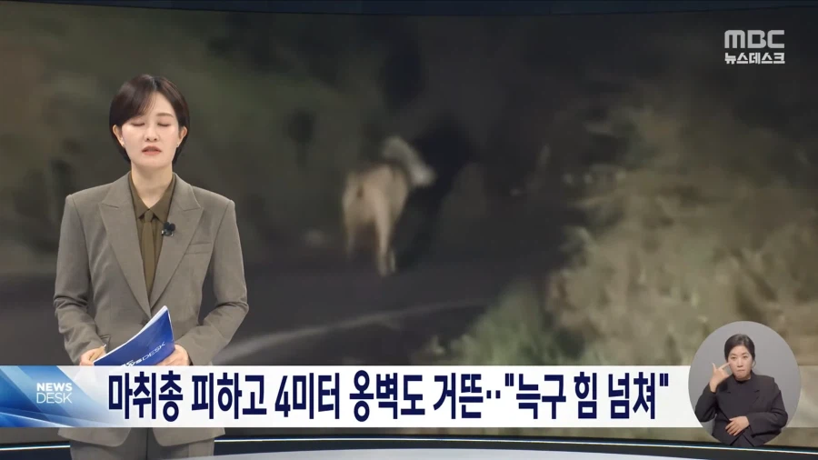 늑구 힘 넘쳐_2.webp