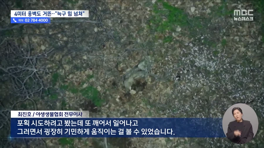 늑구 힘 넘쳐_4.webp