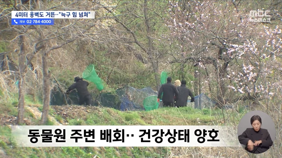 늑구 힘 넘쳐_5.webp