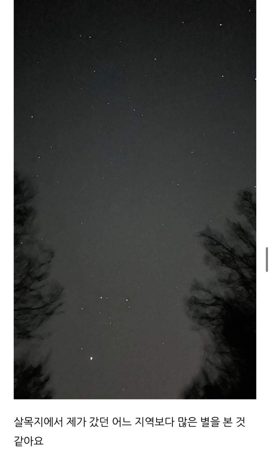 살목지 드라이브 블로그 후기.jpg_11.webp