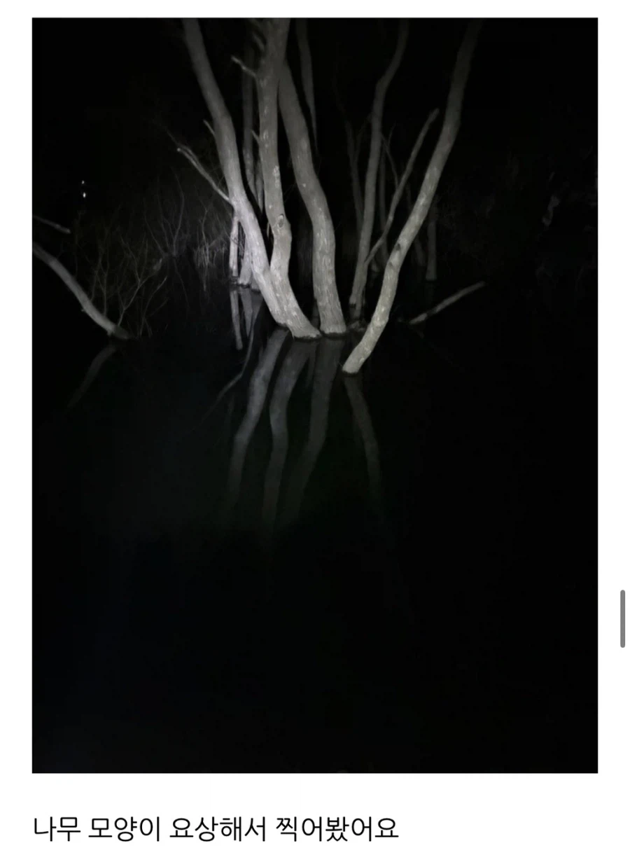 살목지 드라이브 블로그 후기.jpg_14.webp