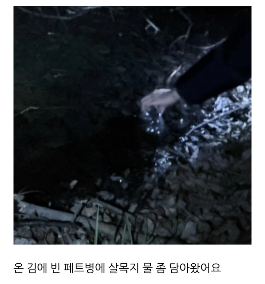 살목지 드라이브 블로그 후기.jpg_19.webp