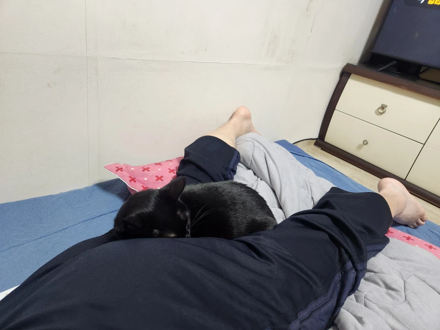 인기많은 검은 고양이와 인기없는 주인_7.webp