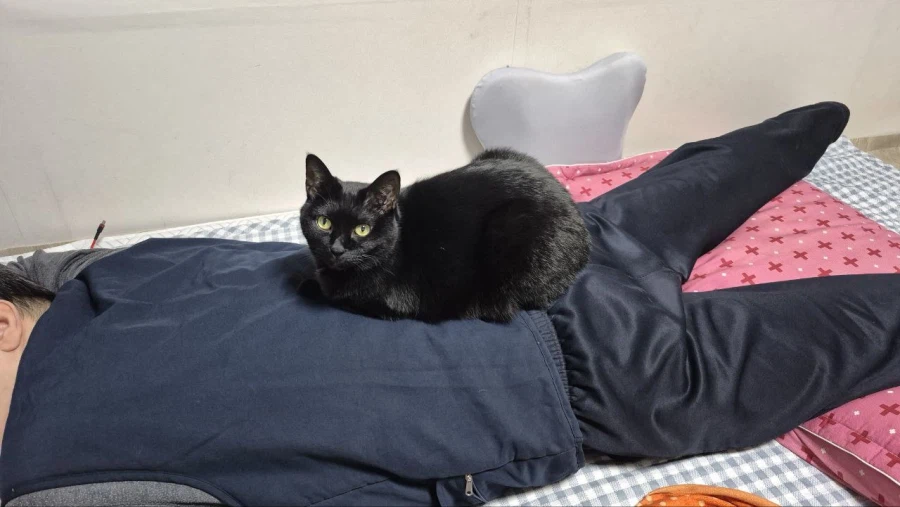 인기많은 검은 고양이와 인기없는 주인_16.webp