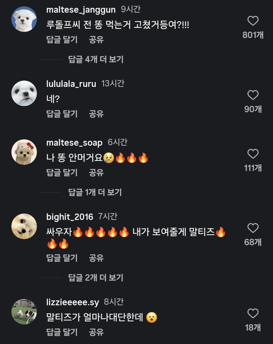 드라마 대사에 전국 말티즈 견주들 어셈블중_3.webp