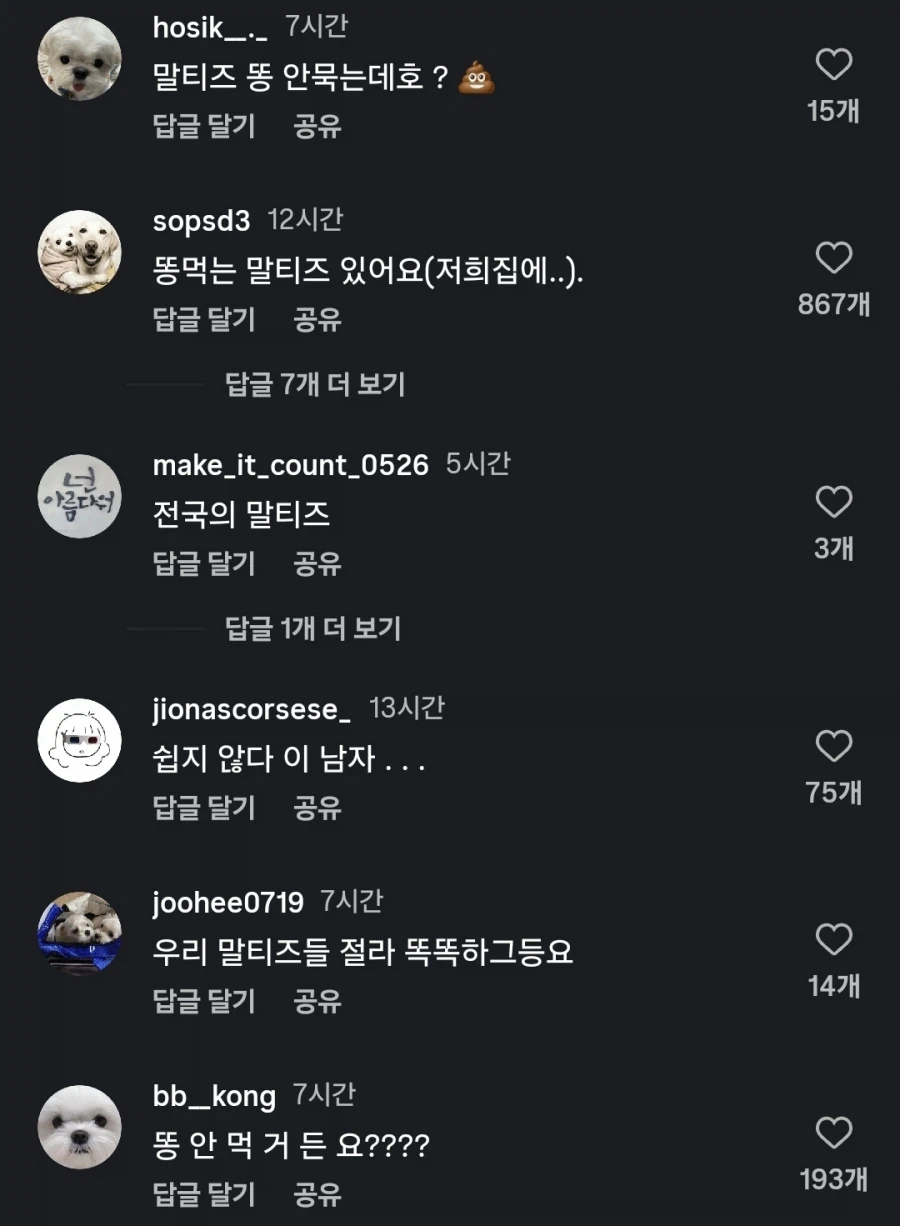 드라마 대사에 전국 말티즈 견주들 어셈블중_4.webp