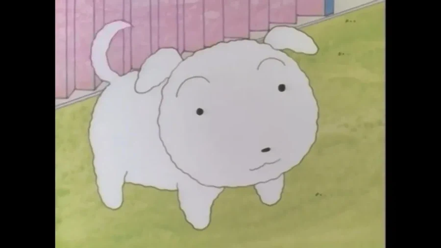 짱구 초창기 흰둥이 특징.jpg_2.webp