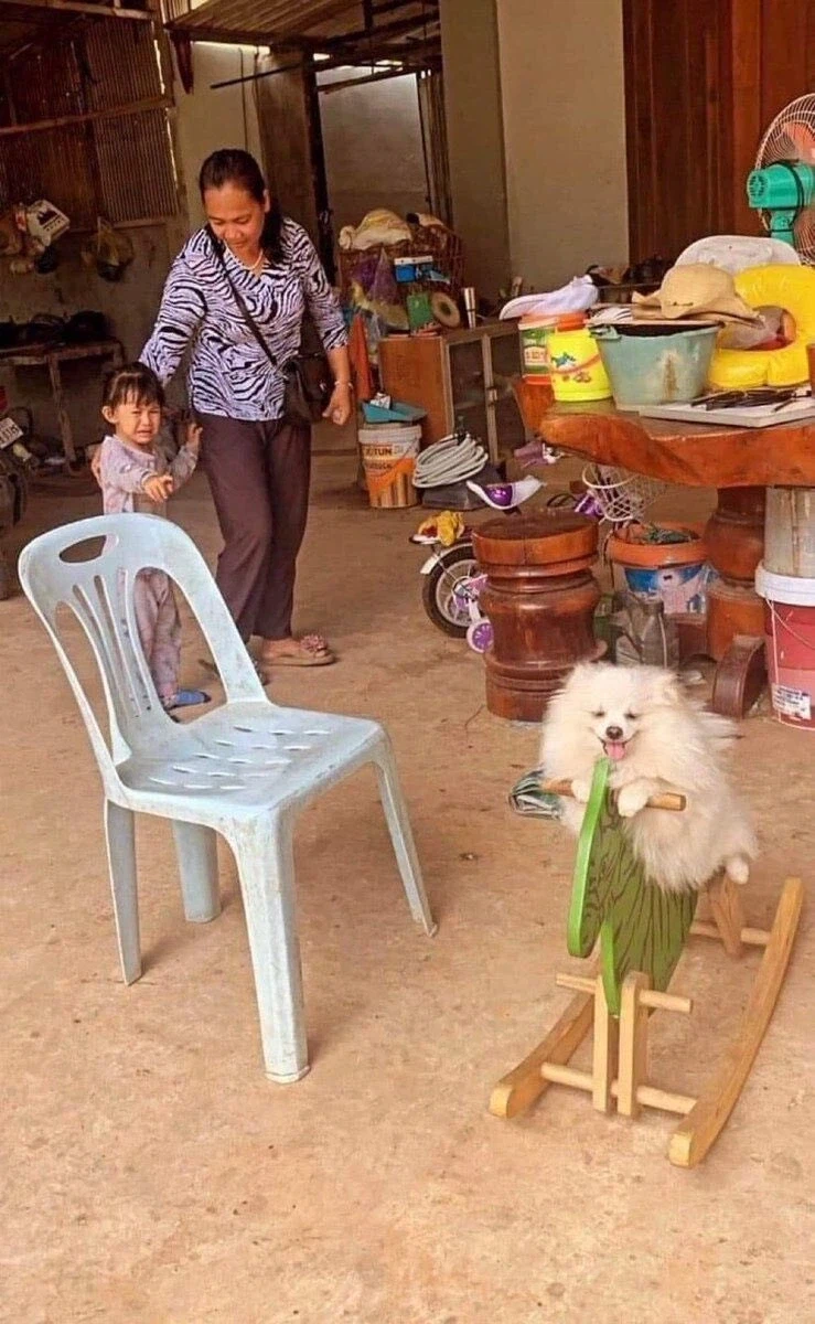 완죤 해피한 멍뭉이.jpg_1.webp