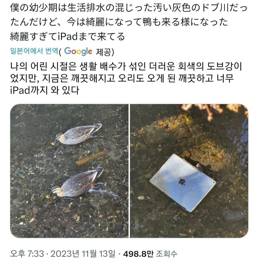 깨끗해진 도시환경의 결과_1.webp