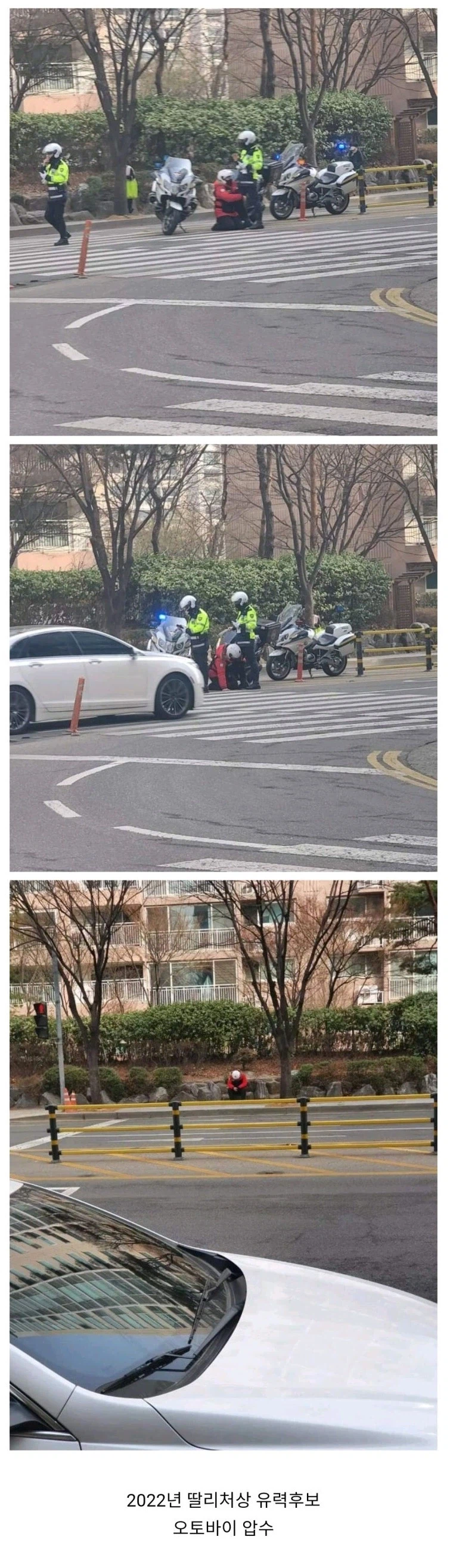 코로나 시기에 큰 여운을 남긴 딸배_1.webp