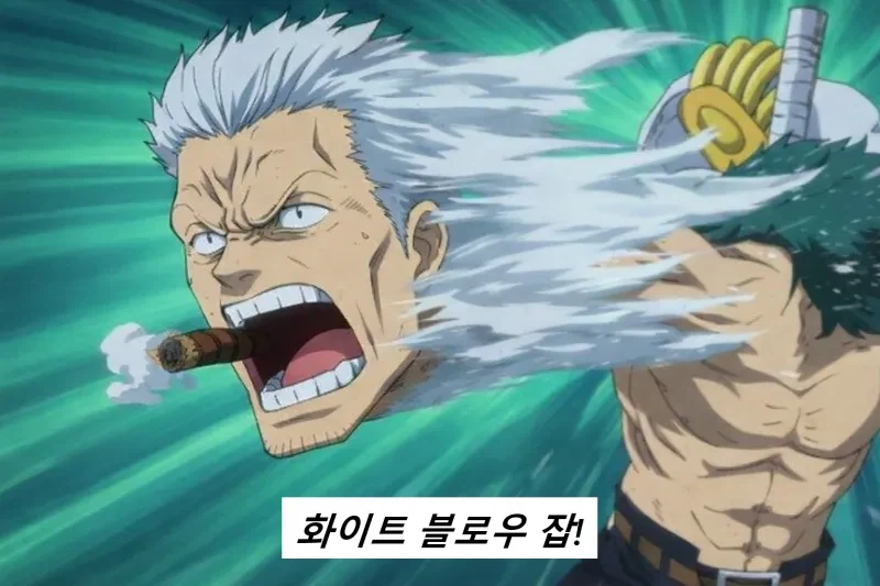 원피스 스모커가 중장까지 고속승진한 이유_1.webp