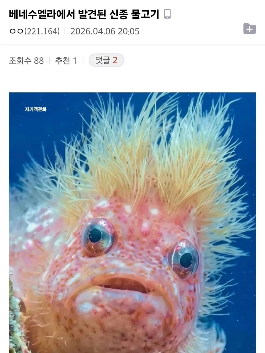 베네수엘라에서 발견됐다는 신종 물고기_1.webp