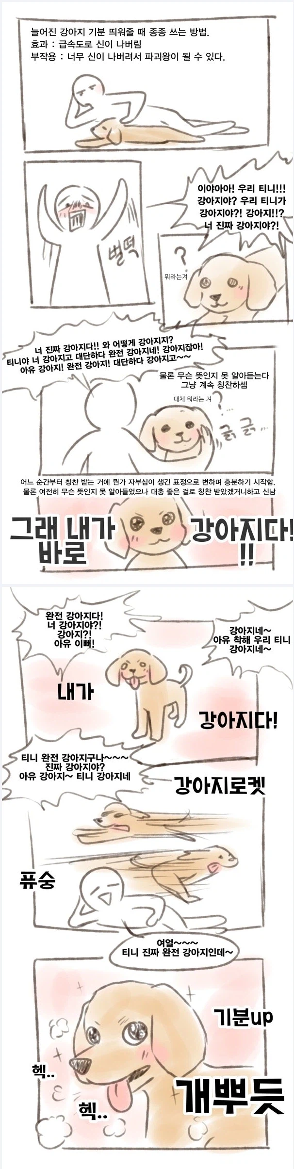 개한테 함부로 하면 안되는 것._1.webp