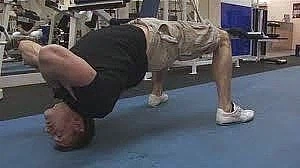 산책 더 하고 싶은 시바견이 하는 행동_2.webp