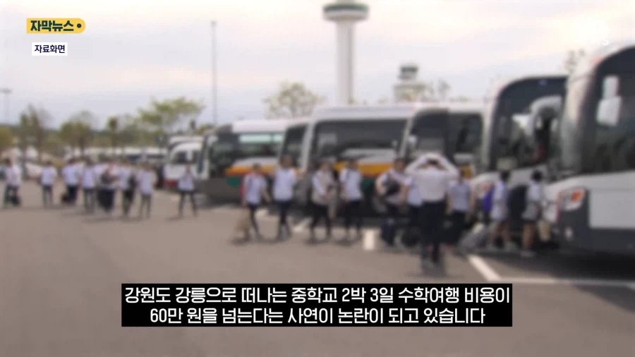 강릉 수학여행 경비 60만원의 범인.jpg_1.webp