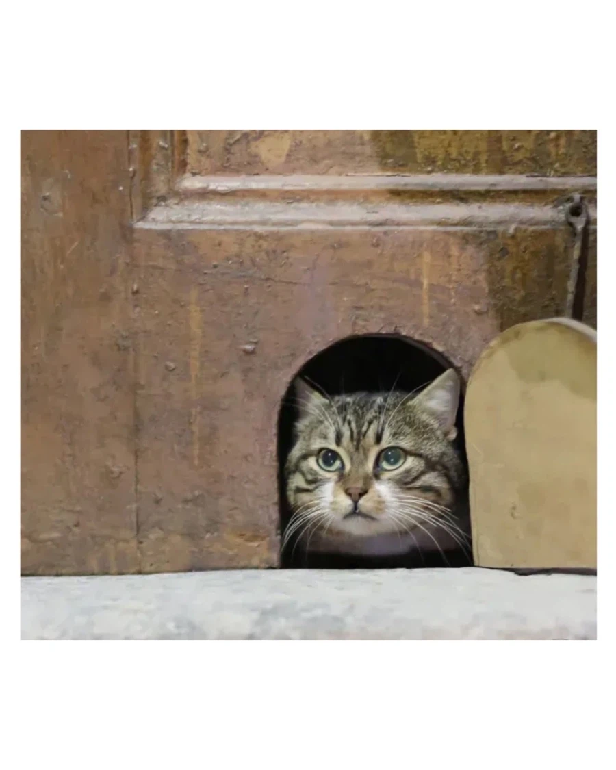 튀르키예 궁전에서 복원한 기능_2.webp