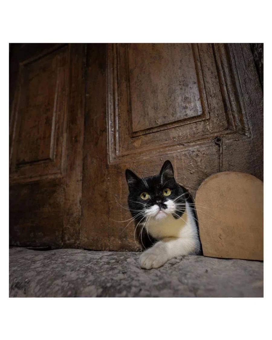 튀르키예 궁전에서 복원한 기능_3.webp