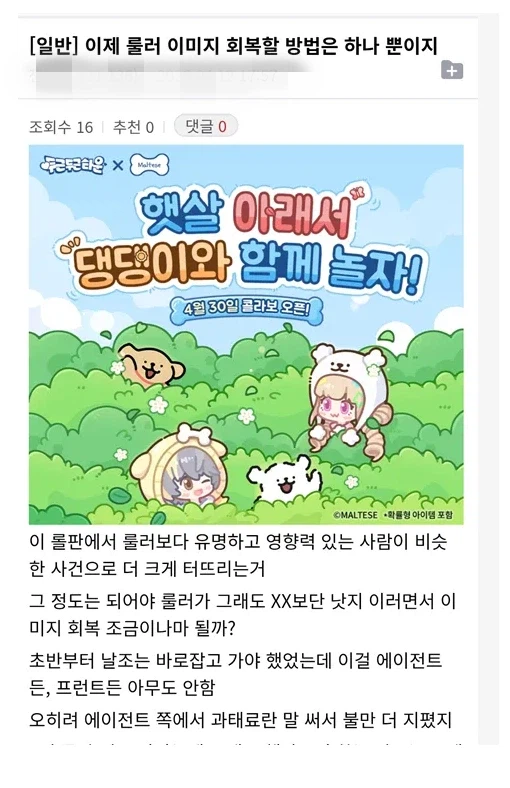 룰러 이미지 회복할 방법.jpg_1.webp